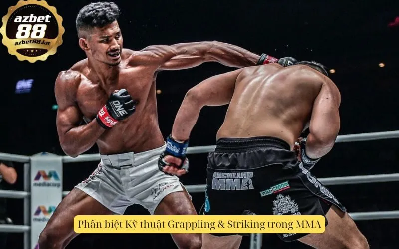 Phân biệt Kỹ thuật Grappling & Striking trong MMA